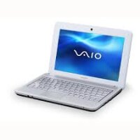 Vaio PCG-21313M