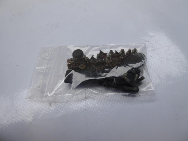 Sony Vaio SVD112A1SM Schraubensatz Screws Set #4501