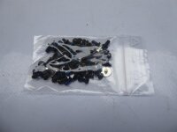Dell Inspiron 15 1564 Schraubensatz Screw Set #4538