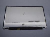 Clevo W230SS ( XMG P304 ) 13,3 FHD Display Panel matt 30...