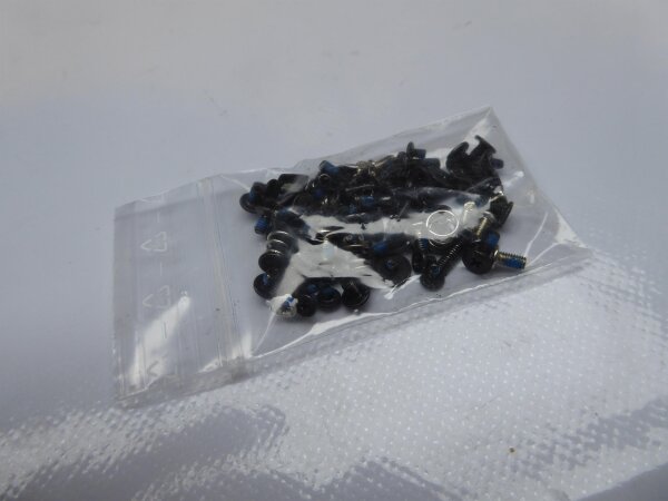 Lenovo G770 Schraubensatz Screws Set #4131