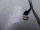 HP Pavilion dv7-3000 Webcam Kabel Webcam cable DD0UT5TH301 #3643