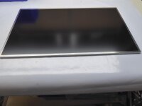 Alienware M17X-R5 17,3 Display Panel matt 40 Pol LP173WF1...