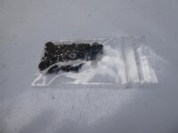 MSI GL62 6QF Schraubensatz Screws Set #4567