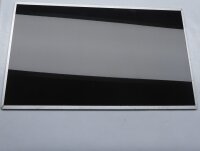 HP Pavilion 15-e073so 15,6 Display Panel glänzend...