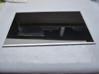 Samsung X520 NP-X520 15,6 Display Panel glossy...