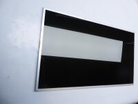 Acer Aspire V3-571 15.6 Display Panel glossy...