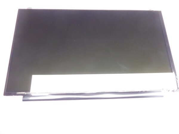 HP 15-g041so 15,6 Display Panel glossy glänzend N156BGE-L41 40 Pol.