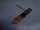 Acer Aspire 5730ZG Touchpad Maustasten Board 48.4Z503.011 #4727