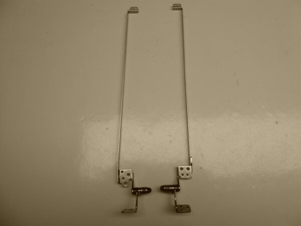 Sony Vaio VGN-NR21S PCG-7122M Displayscharniere Scharniere Hinges L + R #2017