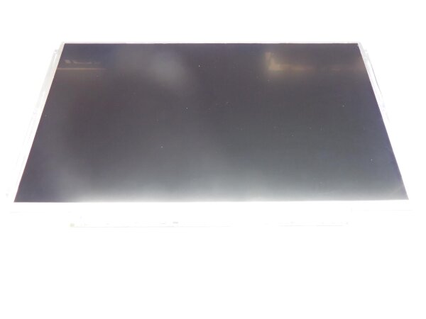 Au Optronics B133XW01 13.3 Display matt 40Pol