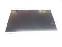 Au Optronics B116XW02 Display 11,6 40 Pol matt