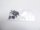 Lenovo ThinkPad L480 Schraubensatz Screws Set  #4247