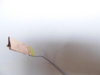 HP Pavilion G6-2000 Serie WLAN Antennenkabel Wifi Antenna cable DQ6Y15GCB00 #3930