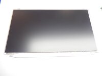 Medion Akoya P6624 15,6 Display Panel matt 1366 x 768