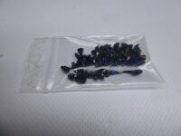 Medion Akoya E7424 Schraubensatz Screws Set #4785