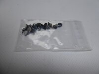 Lenovo ThinkPad Helix 20CG Schraubensatz Screws Set #4789