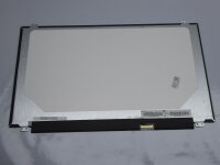 Asus Pro P2520L 15,6 Display Panel matt 30 Pol 1366 x 768