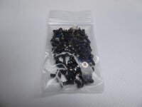 ASUS X51 Series Schraubensatz Scerws Set  #2387