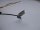 Lenovo Thinkpad T470 Webcam Kamera Kabel Cable DC02C009H10 #4141