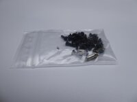 Lenovo IdeaPad G580 Schraubensatz Screw Set #4825