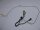 Lenovo ThinkPad S540 Videokabel Displaykabel Touch DC02C007010 #4830