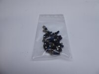 Medion Akoya S4220 Schraubensatz Screws Set #4833