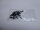 Medion Akoya S4220 Schraubensatz Screws Set #4833