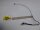 Medion Erazer x6812 Videokabel Displaykabel K193031001V03 #4844