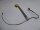 Medion Erazer x6812 Videokabel Displaykabel K193031001V03 #4844