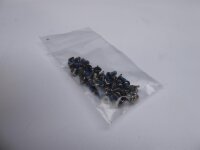 MSI GV72 8RE Schraubensatz Screws Set #4847