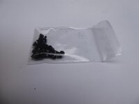 MSI PX60 6QE Schraubensatz Screws Set #4853