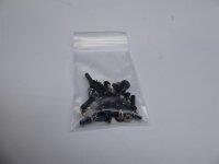 Asus R417N Schraubensatz Screws Set #4865