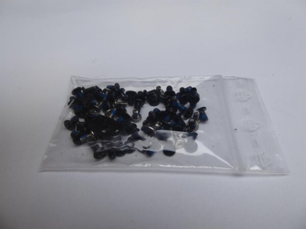 MSI GS70 2PE Schraubensatz Screws Set #4427