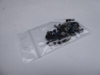 Lenovo IdeaPad 500 15ACZ Schraubensatz Screws Set #4898