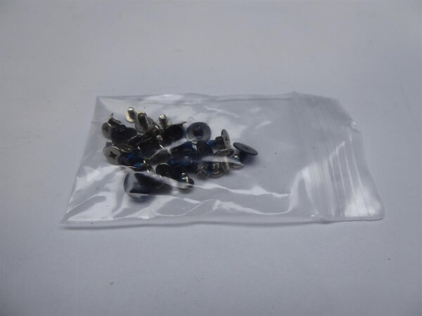 Lenovo ThinkPad L490 Scharubensatz Screws Set #4923