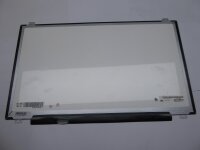 Acer Predator 17 N15P4 17,3 FHD Display Panel matt 1920 x 1080 30 Pol L #4995