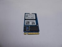 Lenovo ThinBook 13S-IML M.2 NVME 256GB SSD Festplatte SSS0X54155   #5011