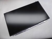 Acer Extensa 2519 15,6 Display Panel matt 1366 x 768 30...