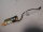 Lenovo ThinkPad T16 Gen. 1 Powerbutton Board mit Kabel NS-D883R  #5078