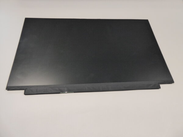 BOE NT156FHM-N61 15,6 Display matt 1920 x 1080 30Pol R