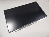HP Pavilion 15 BC Serie  15,6 Display Panel matt 1920 x...
