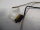 Dell Inspiron 15 3551 Videokabel Displaykabel 0X2MP1 #5137