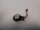 Acer Aspire A515 55 Series N18Q13 Cmos Bios Batterie mit Kabel #5140