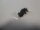 Sony Vaio PCG-81412M VPCF2 Schraubensatz Screws Set  #5145