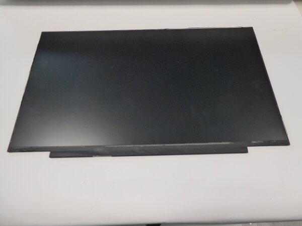 BOE NT173WDM-N23 V8.0 17,3 Display matt 1600 x 900 30Pol R