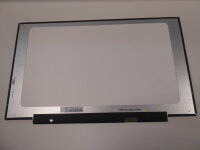 BOE NT173WDM-N23 V8.0 17,3 Display matt 1600 x 900 30Pol R
