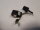 Lenovo ThinkPad P1 Gen. 2  ORIGINAL Powerbuchse Strombuchse 01YU754  #5156