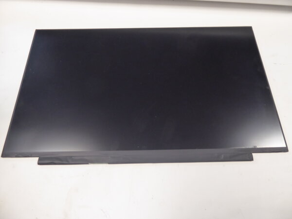 BOE NT173FHM-N49 V8.0 17,3 IPS Display matt 1020 x 1080 30Pol R
