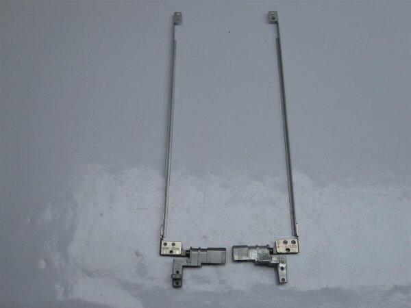 HP ProBook 6550b Display Scharniere L+R incl. Leisten Hinge 6055B0012401 #2406